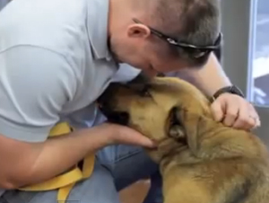 Usted puede sentir el amor cuando este perro dulce regresa con su familia