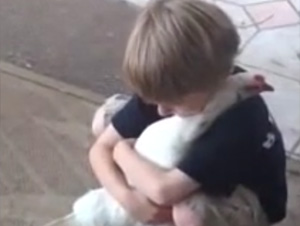 Claramente, Este Chico no es Temeroso a los Animales. ¡Y Esa no es Ninguna Gallina Ordinaria!