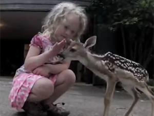 Niña Preciosa que Hace Conexión Sorprendente con un Cervatillo