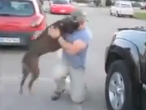 El Perro Más Emocionado Jamás, Le Da la Bienvenida a Papá