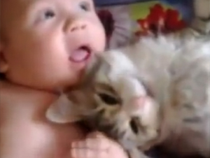 Cómo Este Gatito Recibió al Nuevo Miembro de la Familia le Sorprenderá – ¡Y lo Mejor es la Preciosa Reacción del Bebé!