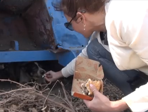 Cuando Vi Dónde Vivía Este Perro, Lloré, ¡Pero Después Pasó Esto!