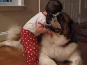 ¿Qué Sucede la Primera Vez que un Bebé Abraza a Su Perro? ¡Esto sucede!…¡Y Ay, mi corazón!