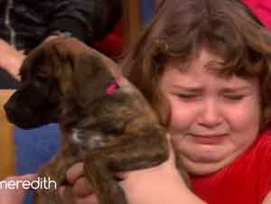 Niña Sentimental Es Sorprendida Con El Cachorro Que Pensó Que Había Perdido Para Siempre