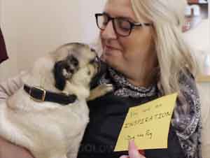 Este Perrito Anima a las Personas con Mensajes Inspiradores Alrededor de la Ciudad – Videos Lindos