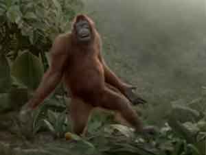 No Sabía Que un Orangután Podía Hacer Esto –  ¡Prepárese Para Reír!