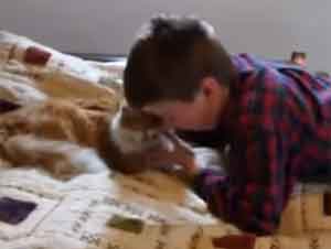 Una Emotiva Reunión de Un Niño con su Gato Perdido