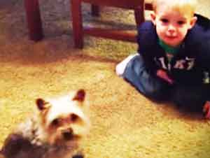 Aparentemente Es Mucho Más Fácil Entrenar a Este Niño a Sentarse Que a Su Perro – ¡Tan Lindo!