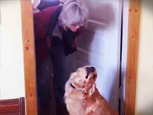 Ella Solo Quería un Beso. ¡La Reacción de su Perrita No Tiene Precio!