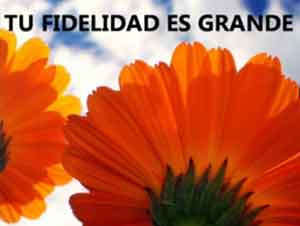 La Fidelidad de Dios es Grande ¡Nunca Lo Dude! – Música, Marcos Witt