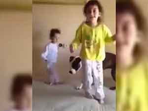 Perro pitbull juega con niñas y salta en la cama junto con ellas. Es lindo y divertido!