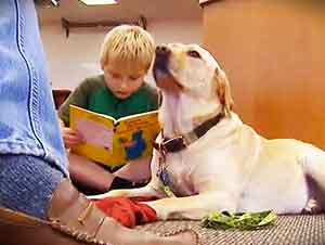 Niños practican la lectura leyendo historias a unos perros!