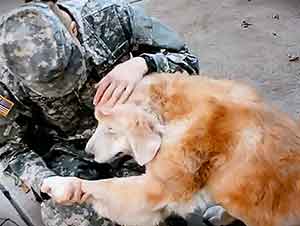 Perro Se Emociona AL Ver Nuevamente A Su Soldado Favorito