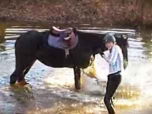 Un Caballo Estaba Aterrado Hasta Que Un Niña Lo Ayudó. Lo Que El Caballo Hizo Despues Me Hizo Llorar… DE RISA!!!!