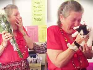 Estudiantes Regalan Un Gato A Su Maestra Como Sorpresa