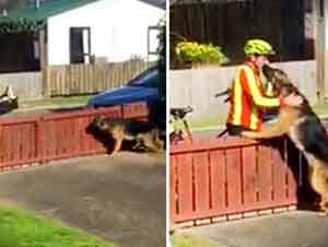 Cartero Se Toma Una Pequeña Pausa Para Saludar A Un Amigo