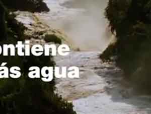 La Belleza Del Rio Amazonas