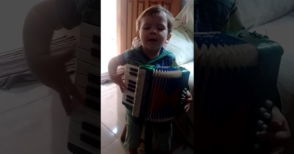 Niño Juega A Tocar El Acordeon